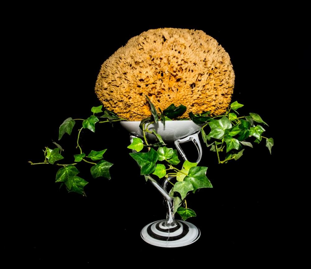 Decoration Natural Sponge Ivy Glass Bowl Decoration Natural Sponge Ivy Glass Bowl
