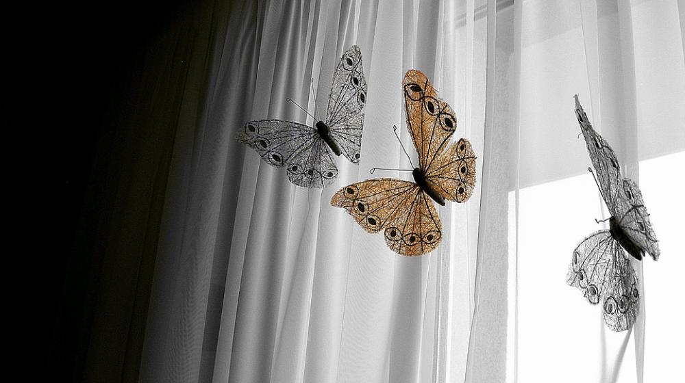 Decoration Butterfly Window Nature House White Decoration Butterfly Window Nature House White