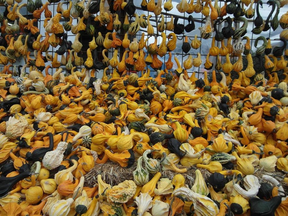 Decorative Pumpkins Pumpkin Yellow Black White Decorative Pumpkins Pumpkin Yellow Black White