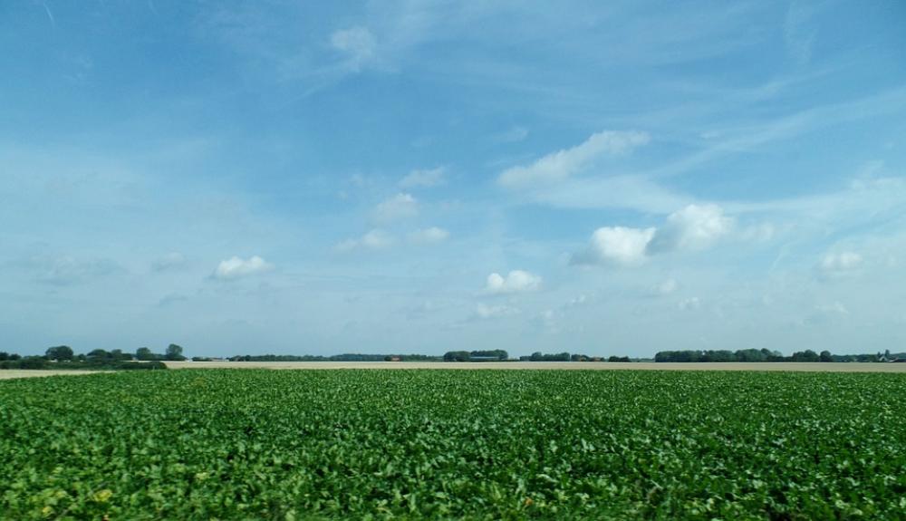 Denmark Field Sun Sky Clouds Summer Nature Denmark Field Sun Sky Clouds Summer Nature