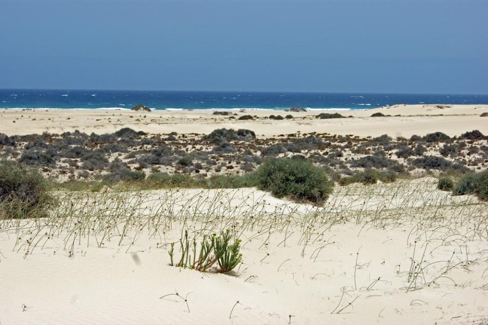 Desert Sand Hot Dry Dunes Sun Sea Water Beach Desert Sand Hot Dry Dunes Sun Sea Water Beach