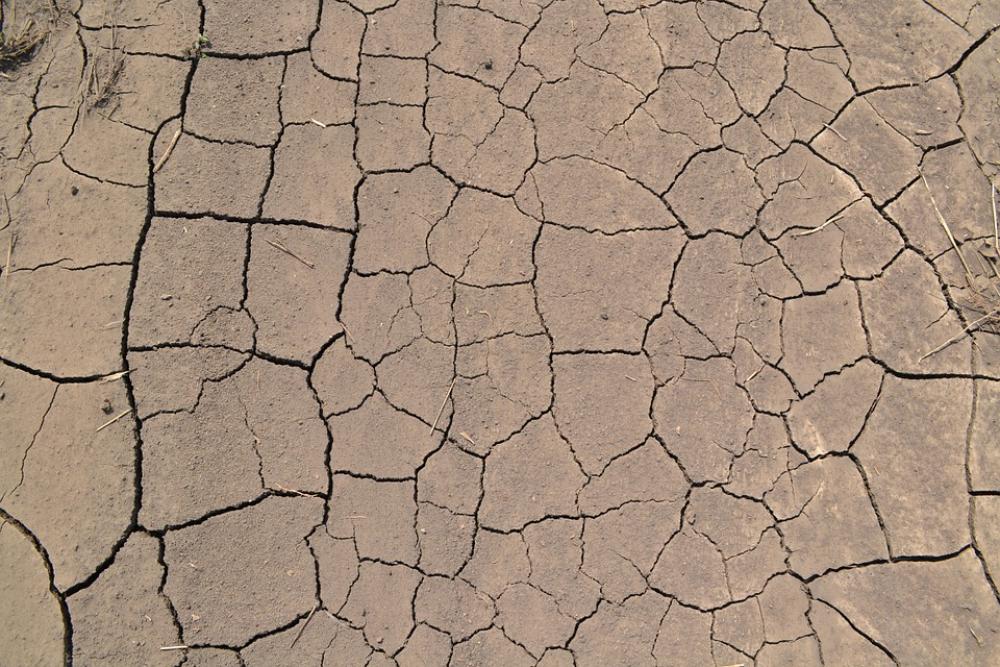 Desert Dry Dirt Texture Parched Soil Land Crack Desert Dry Dirt Texture Parched Soil Land Crack