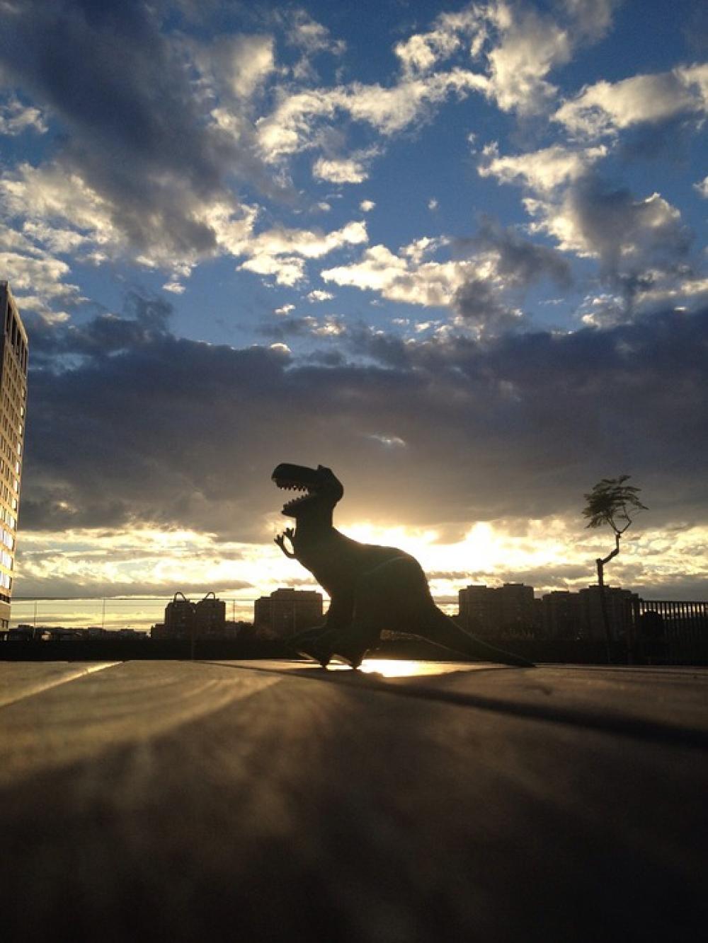 Dinosaur Sky Backlight Sunset Dinosaur Sky Backlight Sunset