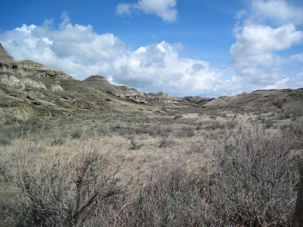 Dinosaur Provincial Park Steppe Nature Landscape Dinosaur Provincial Park Steppe Nature Landscape