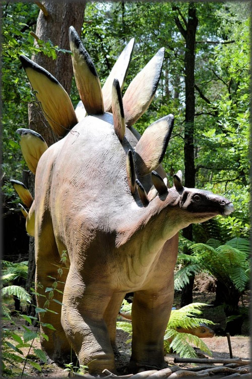 Dinosaurs Prehistoric Animal Amersfoort Predators Dinosaurs Prehistoric Animal Amersfoort Predators