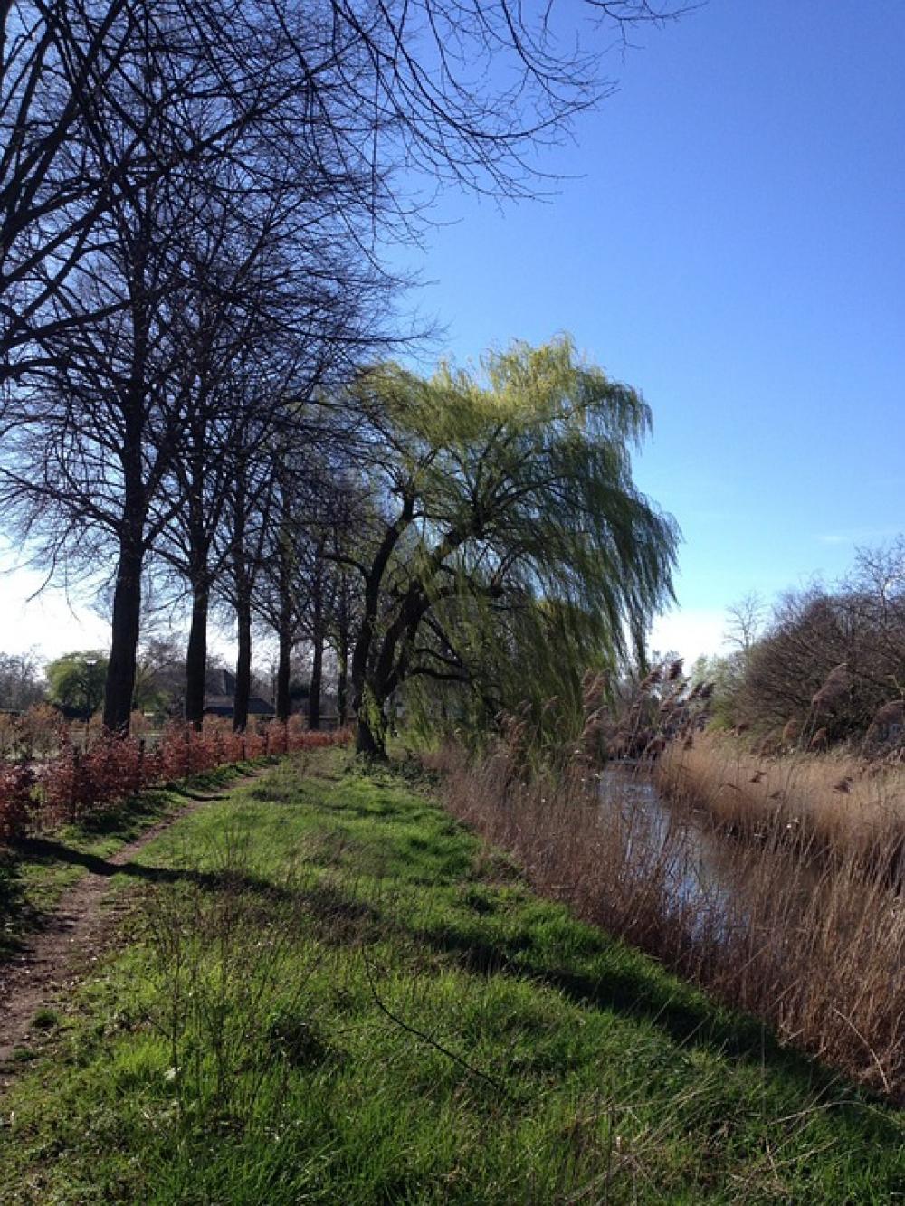 Dommel Valley Spring Wind Dommel Valley Spring Wind