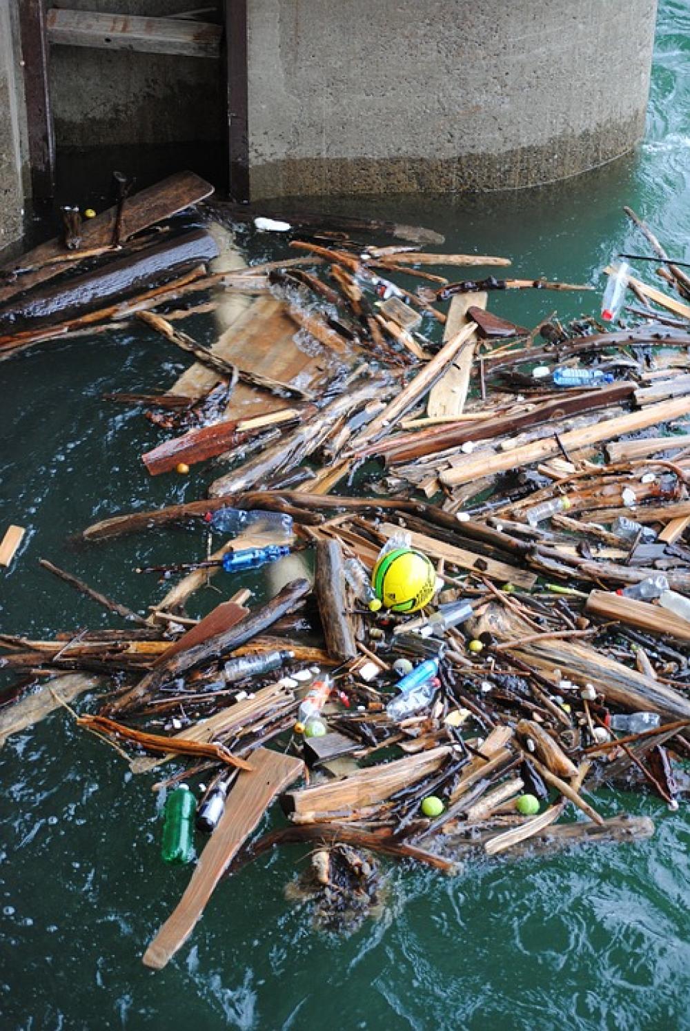 Drift Wood Driftwood Waste River Power Plant Drift Wood Driftwood Waste River Power Plant