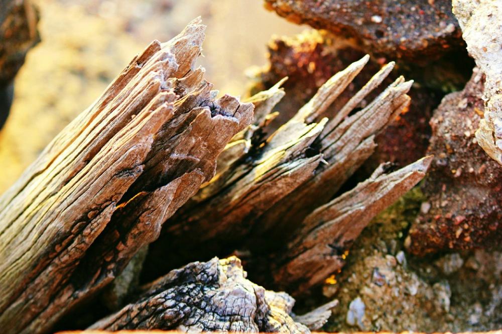 Driftwood Wood Old Weathered Timber Rough Rustic Driftwood Wood Old Weathered Timber Rough Rustic