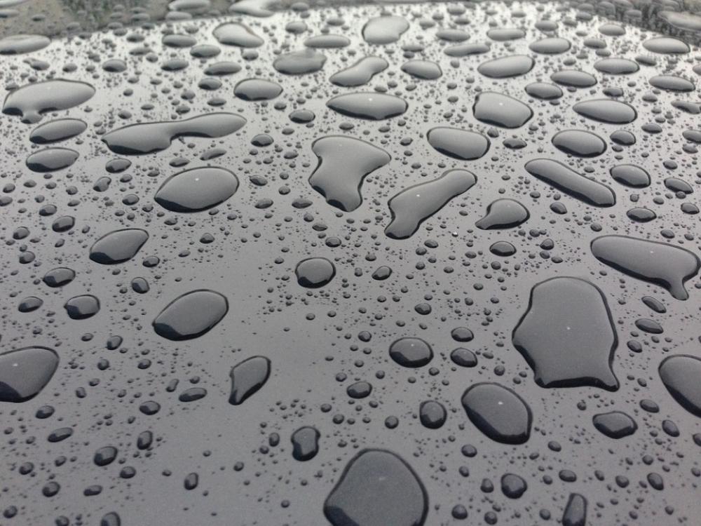 Drops Rain Water Drops Rain Water