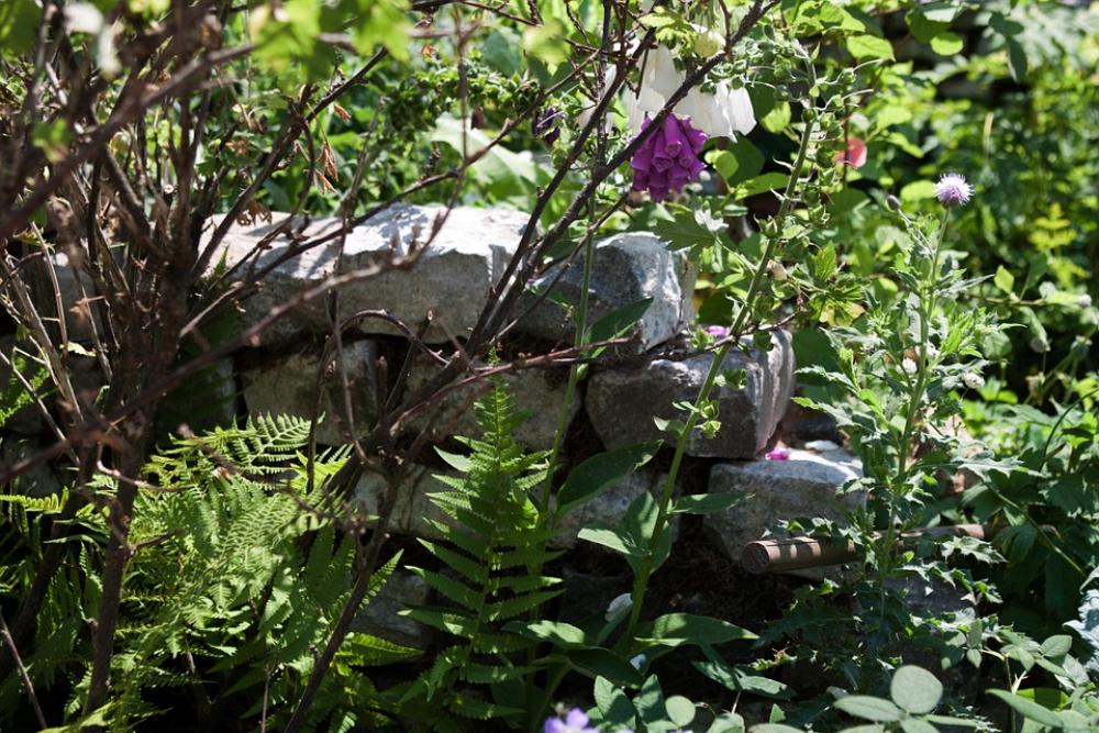 Dry Stone Wall Natural Garden Ferns Texture Dry Stone Wall Natural Garden Ferns Texture