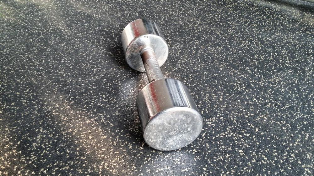 Dumbbell Fitness Training Sport Fit Sporty Gym Dumbbell Fitness Training Sport Fit Sporty Gym