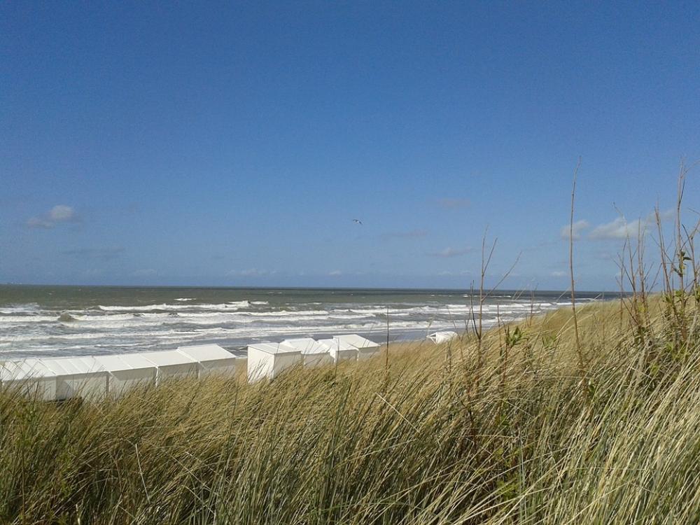 Dunes Dune Sea Water Sky North Sea Coast Dunes Dune Sea Water Sky North Sea Coast