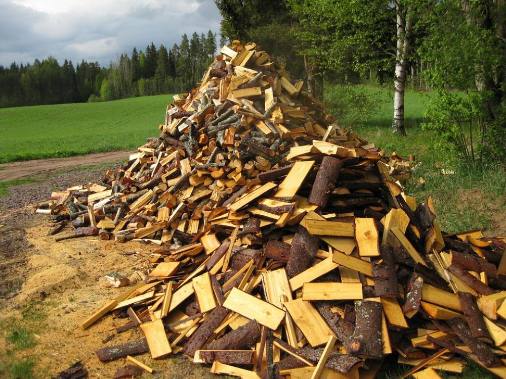 Early Summer Firewood Woodpile Landscape Field Early Summer Firewood Woodpile Landscape Field