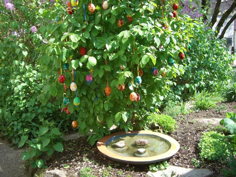 Easter Bush Egg Colorful Easter Eggs Easter Green Easter Bush Egg Colorful Easter Eggs Easter Green
