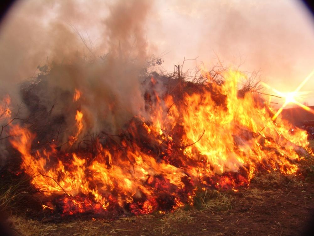 Easter Fire Easter Fire Easter Fire Easter Fire