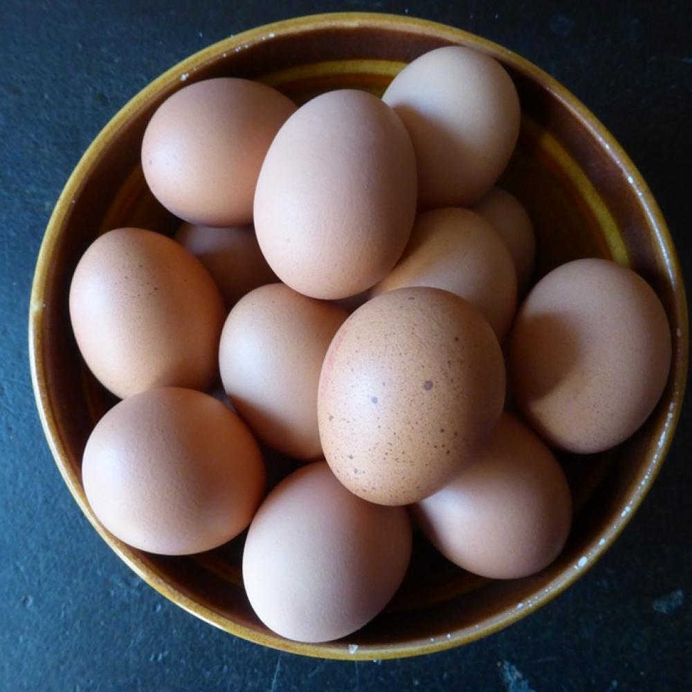 Egg Hen'S Egg Food Nutrition Chicken Product Egg Hen'S Egg Food Nutrition Chicken Product