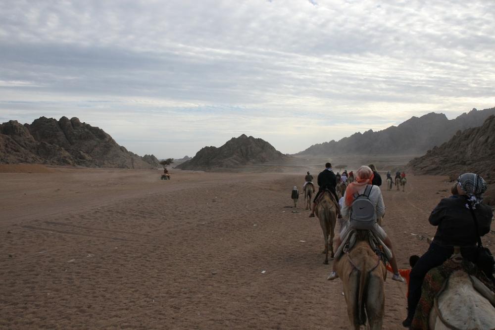 Egypt Adventure Camel Desert Africa Egypt Adventure Camel Desert Africa