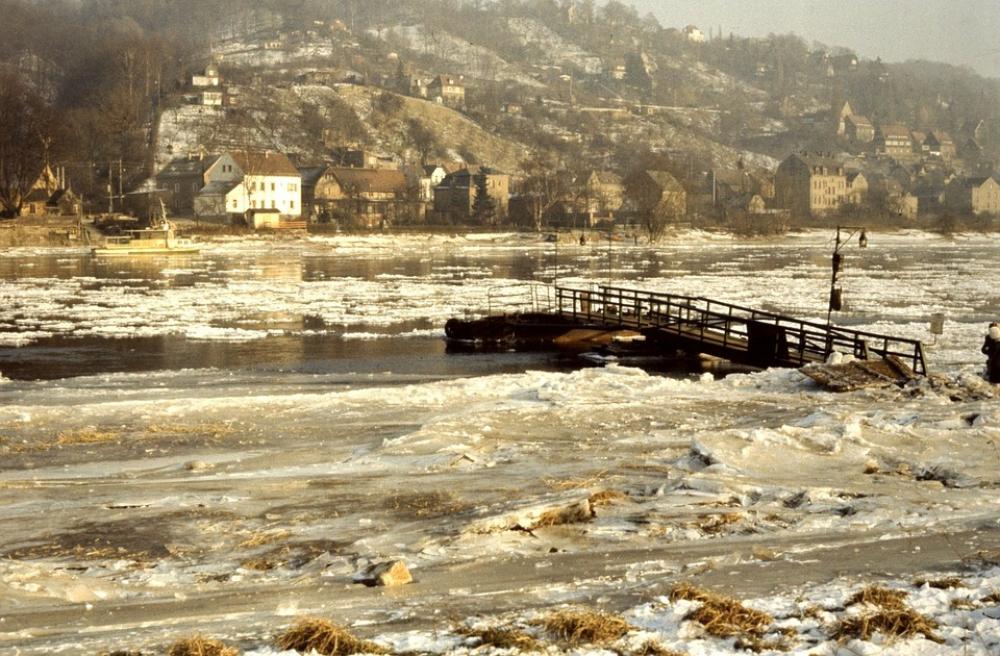 Elbe Drift Ice Ice Winter River Frozen Ice Floes Elbe Drift Ice Ice Winter River Frozen Ice Floes