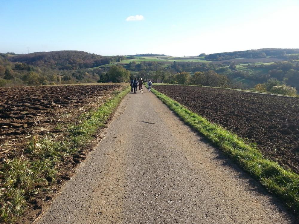 Enz Hike Nature Fields Lane Enz Hike Nature Fields Lane