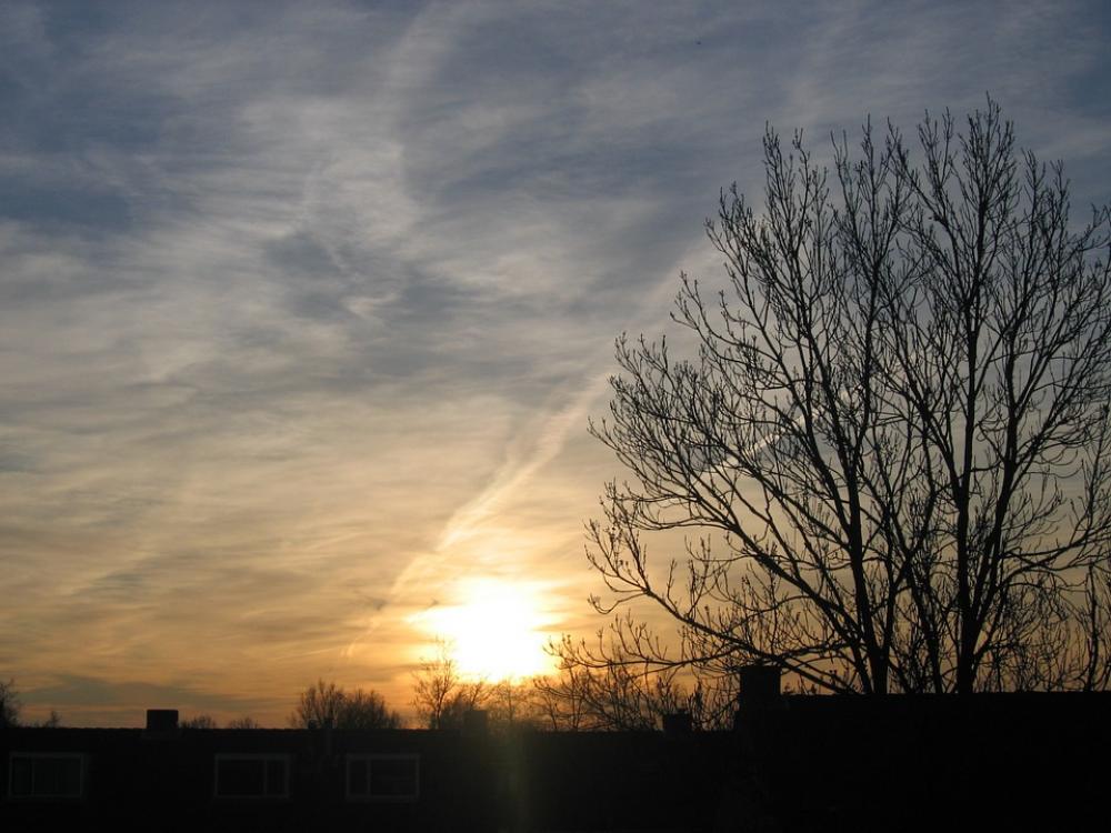 Evening Air Sun Hot Sunset Tree Colorful Sunset Evening Air Sun Hot Sunset Tree Colorful Sunset