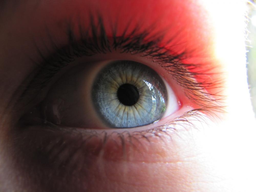Eye Blue Watch Blue Eye Macro Szupermakró Eye Blue Watch Blue Eye Macro Szupermakró