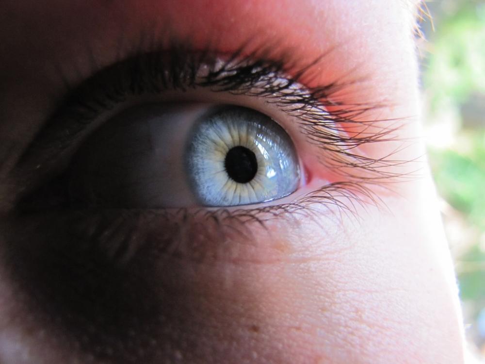Eye Blue Watch Blue Eye Macro Szupermakró Eye Blue Watch Blue Eye Macro Szupermakró