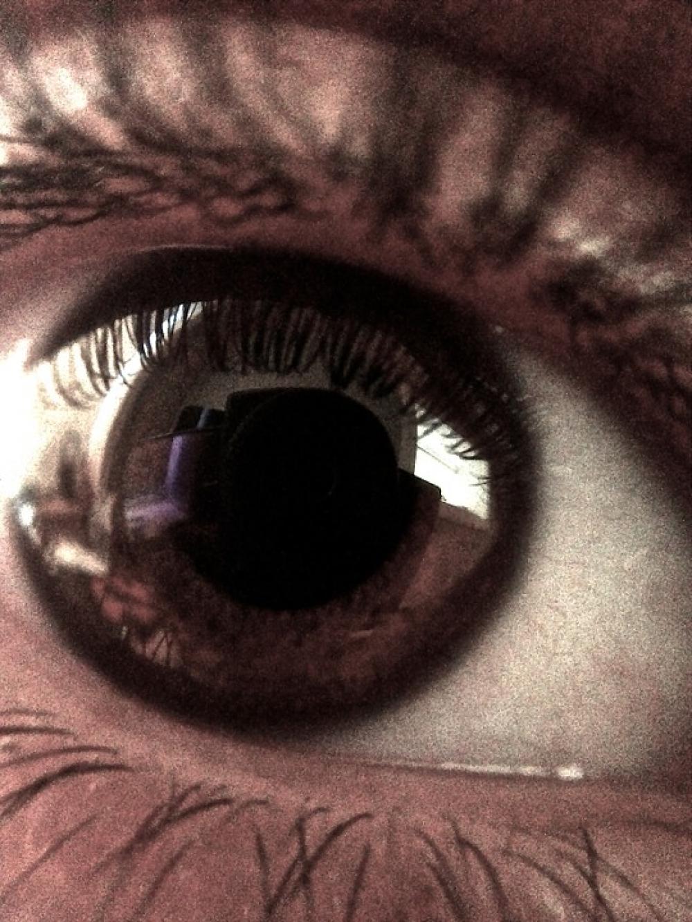 Eye Look Fear Gaze Stare Brown Close-Up Face Eye Look Fear Gaze Stare Brown Close-Up Face
