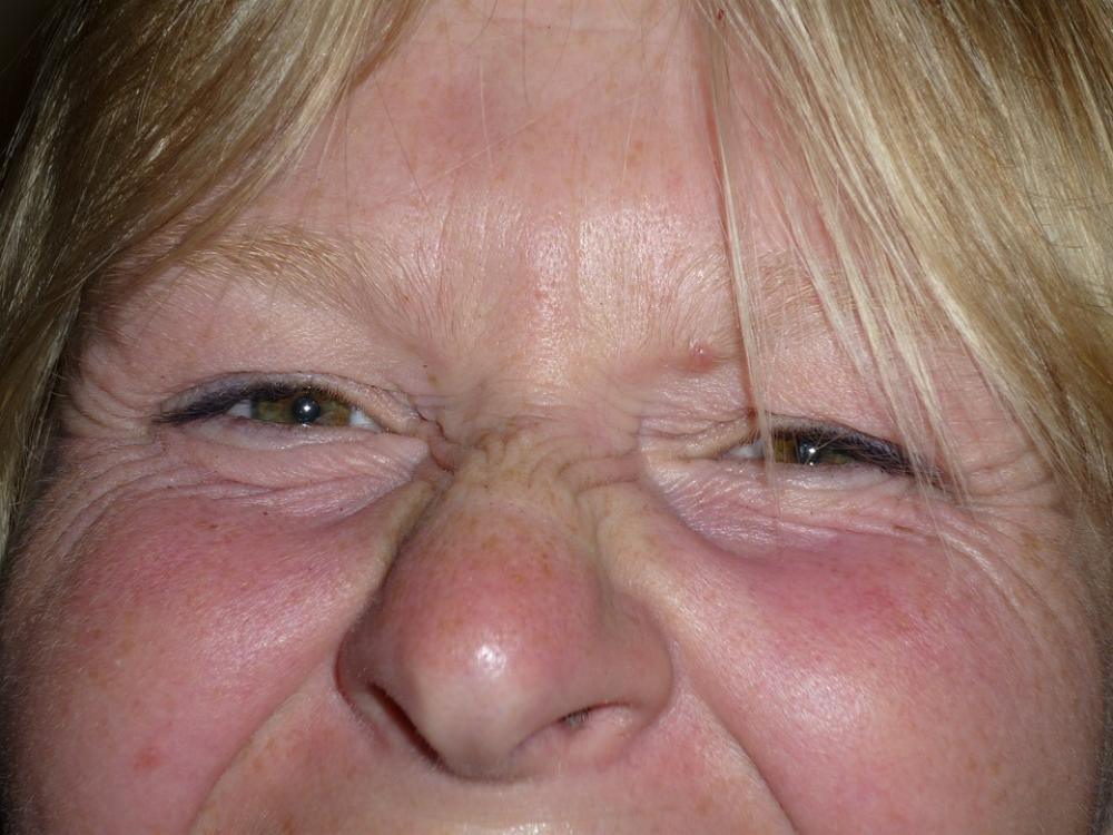 Face Woman Laugh Blond Eyes Cosmetics Face Woman Laugh Blond Eyes Cosmetics