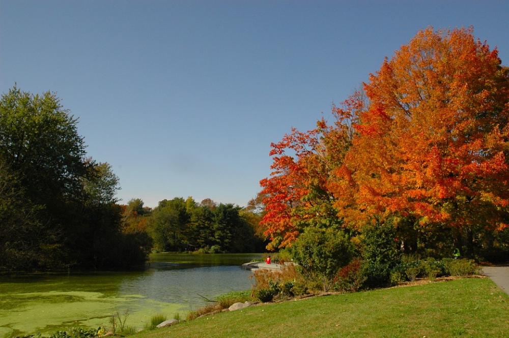 Fall Autumn Golden Autumn Fall Colors Fall Leaves Fall Autumn Golden Autumn Fall Colors Fall Leaves
