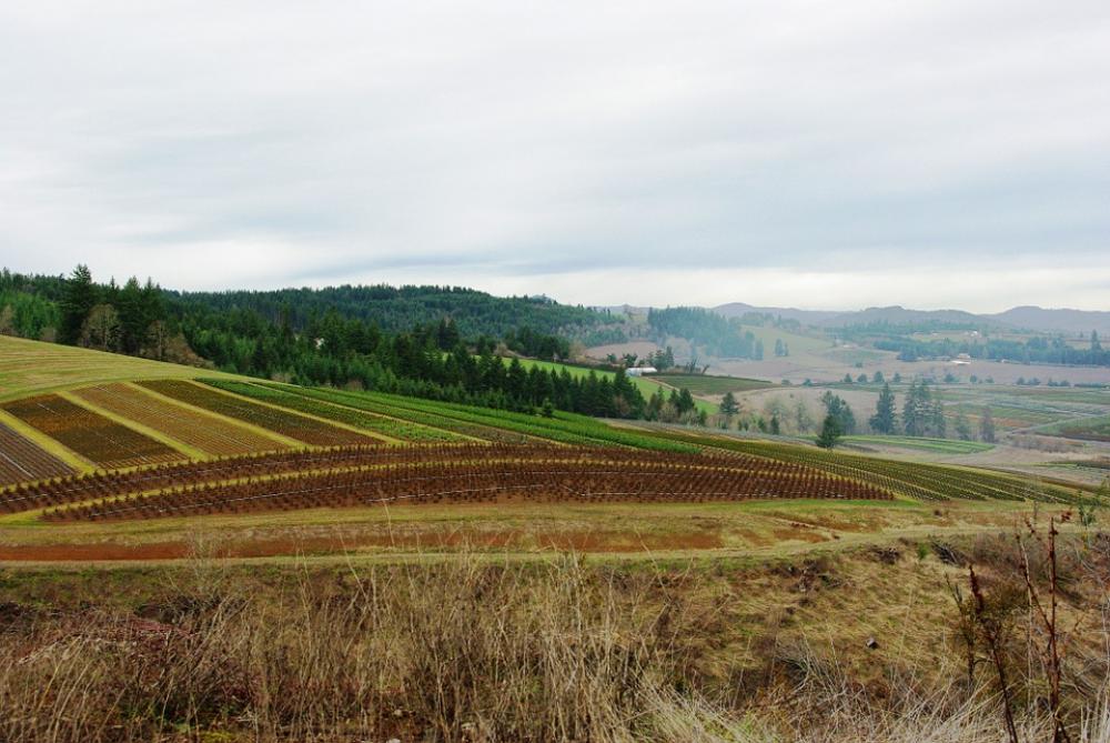 Farm Farmland Nature Outside Scenery Country Farm Farmland Nature Outside Scenery Country
