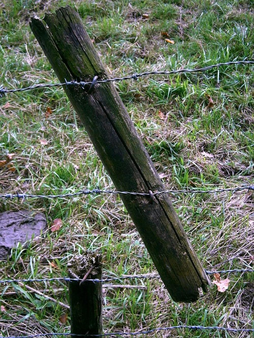 Fence Post Wood Morsch Old Weathered Pile Piles Fence Post Wood Morsch Old Weathered Pile Piles