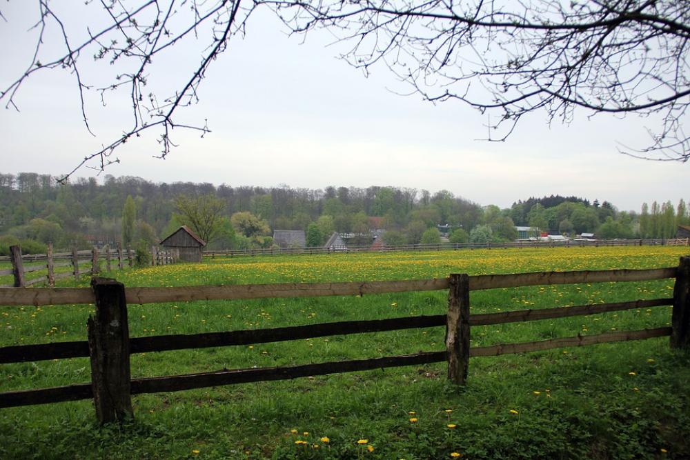Fence Landscape Country Life Meadow Pasture Forest Fence Landscape Country Life Meadow Pasture Forest