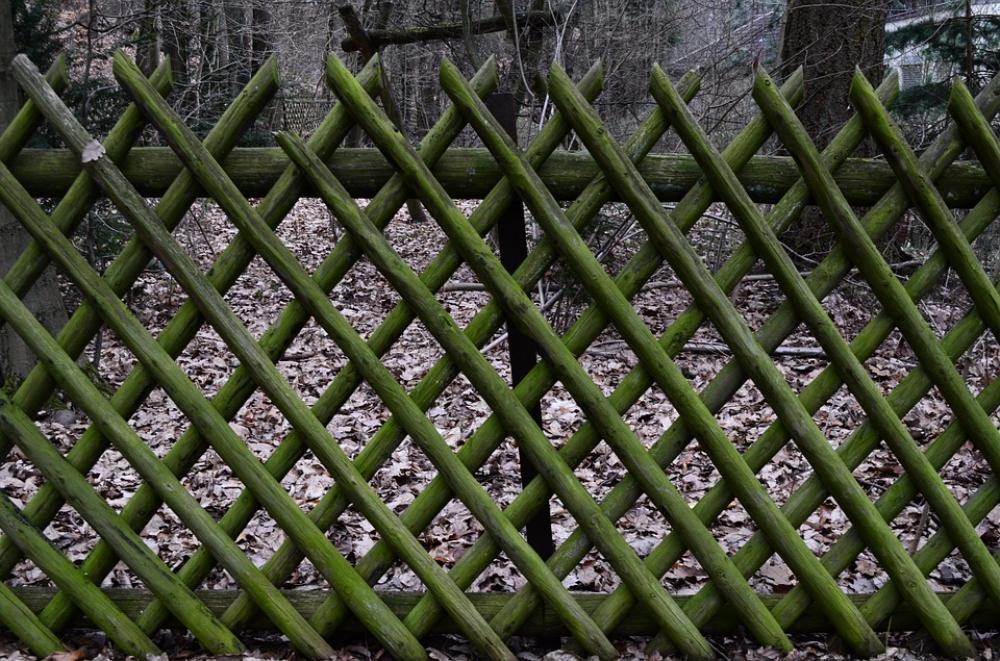Fence Roof Old Green Fence Roof Old Green