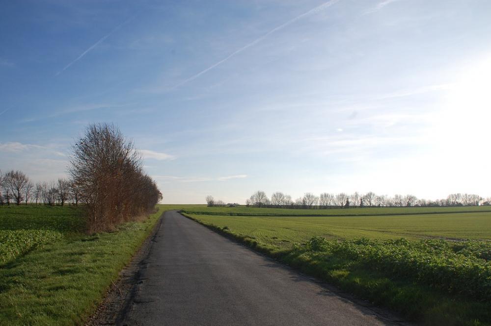 Field Path Promenade Field Path Promenade