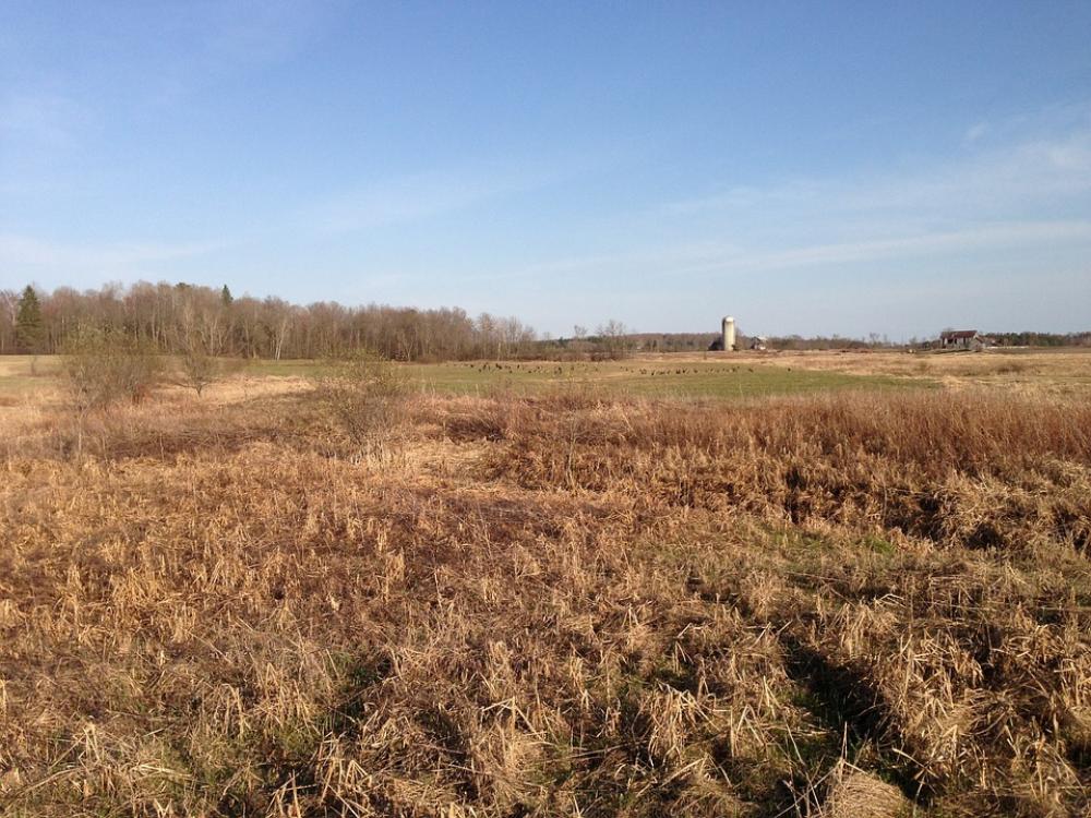 Field Nature Background Countryside Field Nature Background Countryside