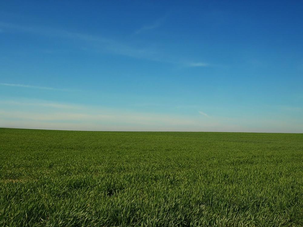 Field Sky Heaven Blue Meadow Spring Clear Quiet Field Sky Heaven Blue Meadow Spring Clear Quiet