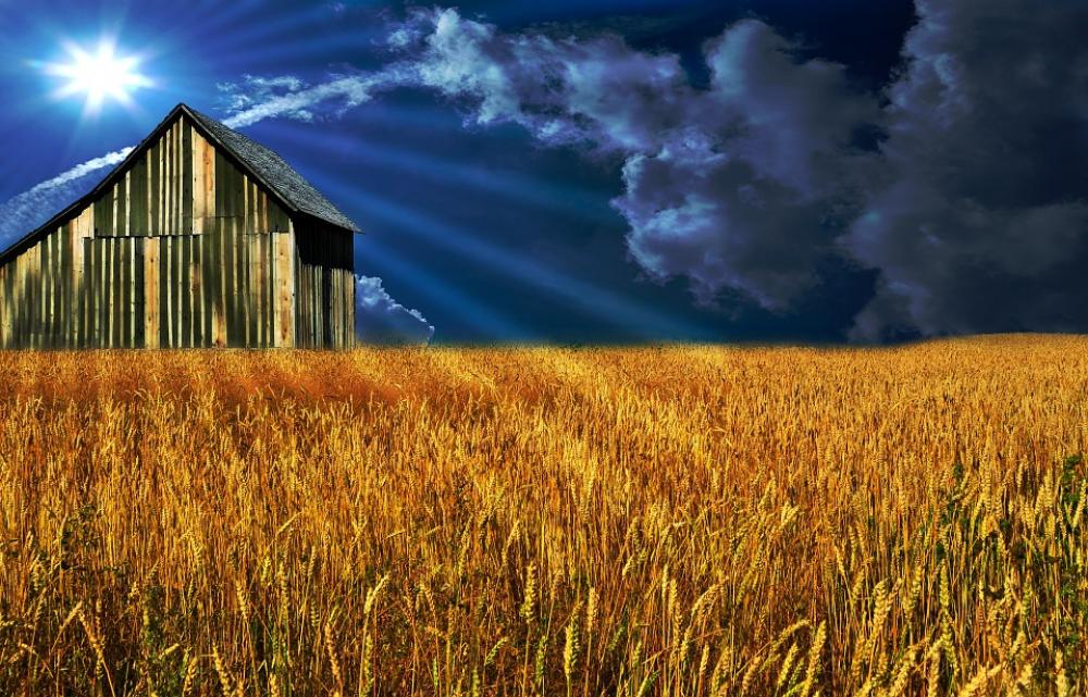 Field Barn Sky Sun Clouds Mood Field Barn Sky Sun Clouds Mood