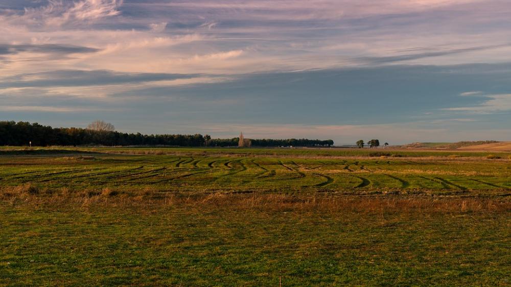 Field Horizon Landscape Sky Agriculture Field Horizon Landscape Sky Agriculture