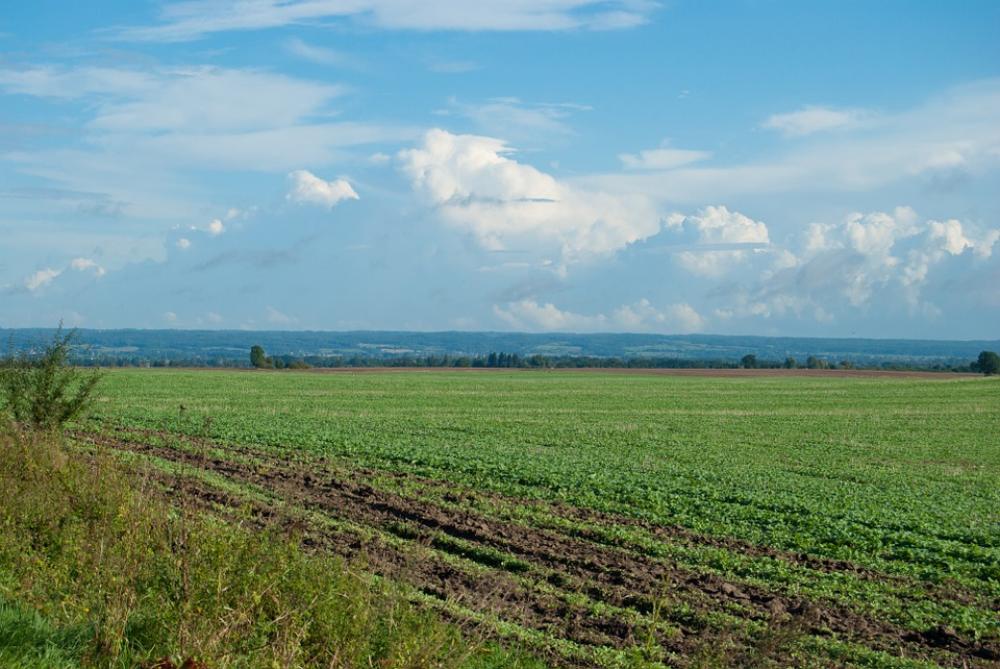 Field Clouds Landscape Field Clouds Landscape
