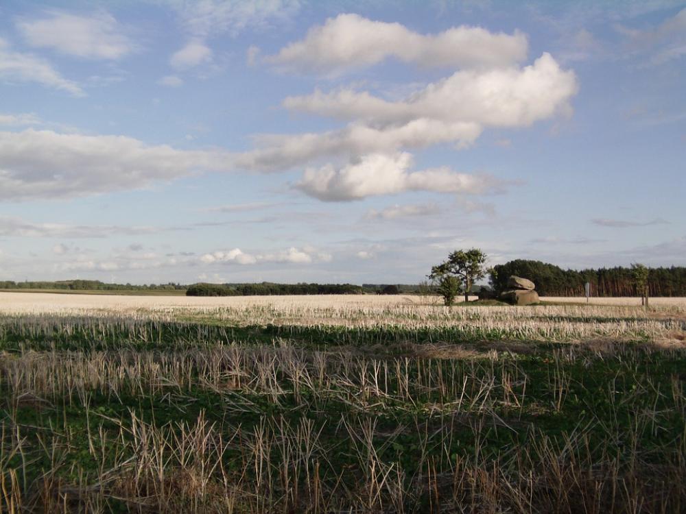 Fields Landscape Northern Germany Fields Landscape Northern Germany