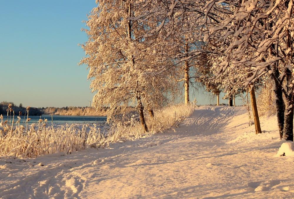 Finland Footpath Trail Road Lane Trees Landscape Finland Footpath Trail Road Lane Trees Landscape
