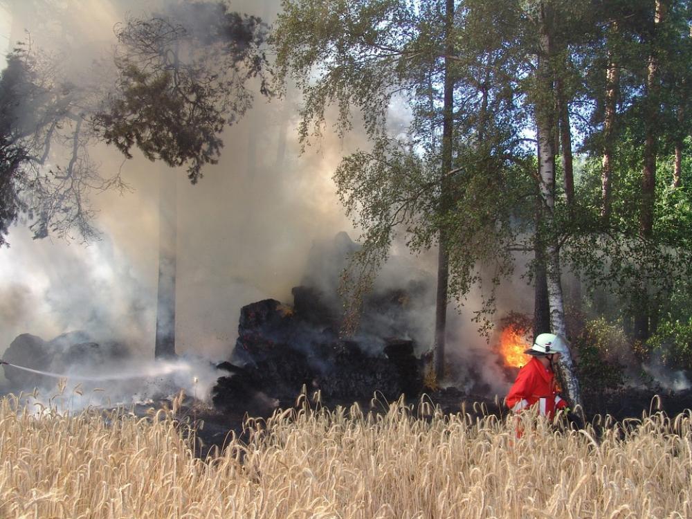Fire Brand Fire Fighting Fire Delete Fire Brand Fire Fighting Fire Delete
