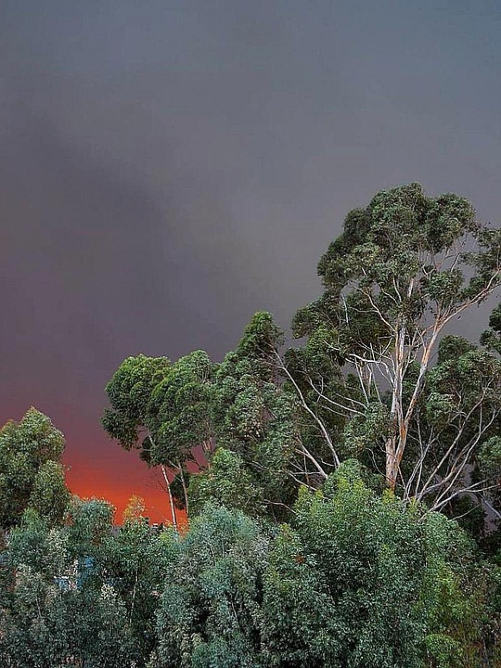 Fires Smoke Flames Fire Fires Smoke Flames Fire