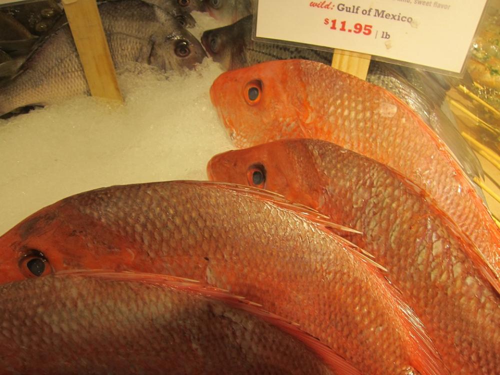 Fish Snapper Fish Market Marine Fish Snapper Fish Market Marine