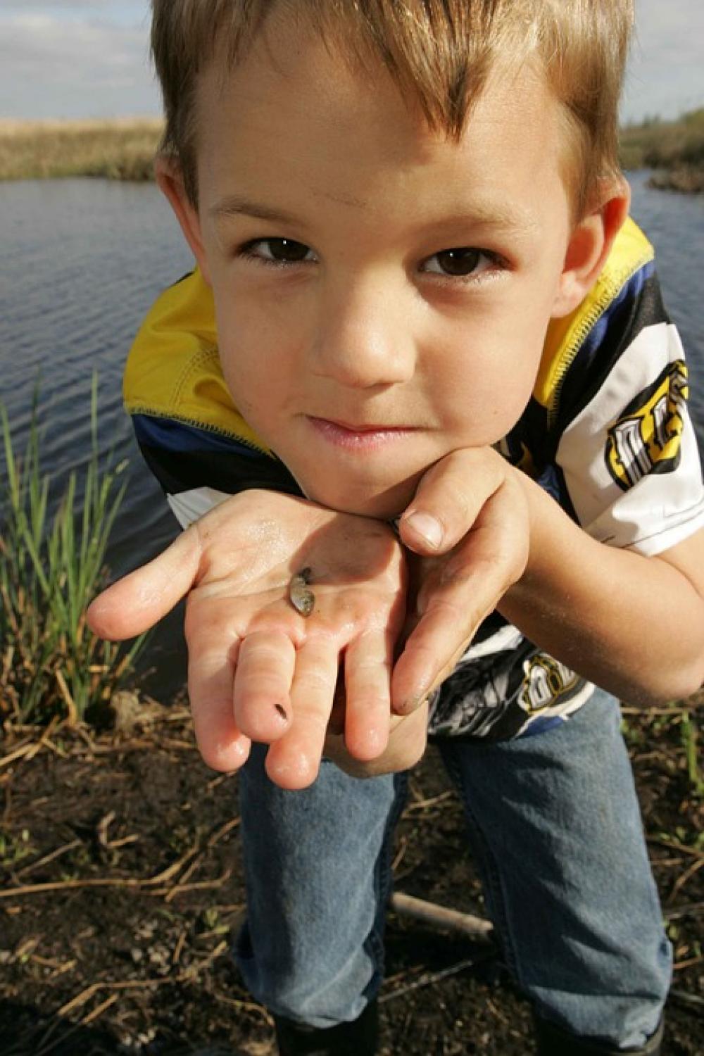Fish Small Holds Boy Young Kids Children People Fish Small Holds Boy Young Kids Children People