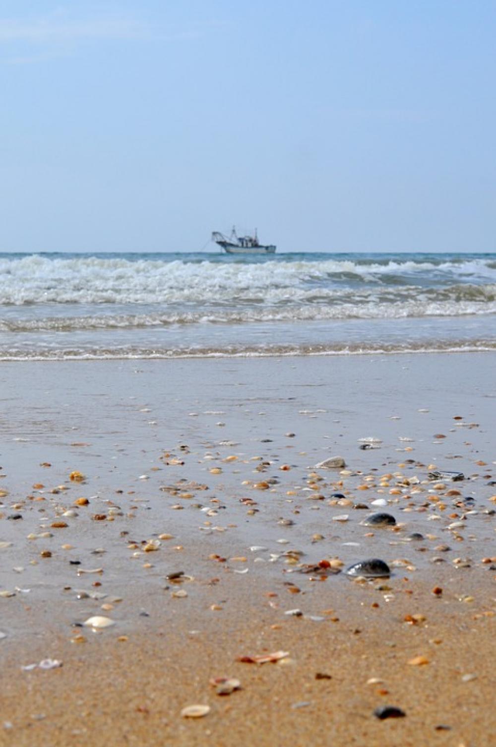 Fishing Boat Shells Sea The Antilla Lepe Huelva Fishing Boat Shells Sea The Antilla Lepe Huelva