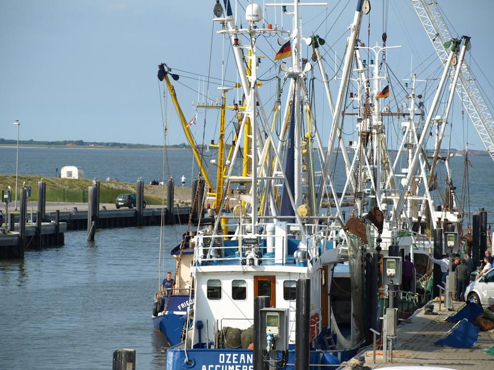 Fishing Port Fishing Vessel Shrimp Port Cutter Fishing Port Fishing Vessel Shrimp Port Cutter