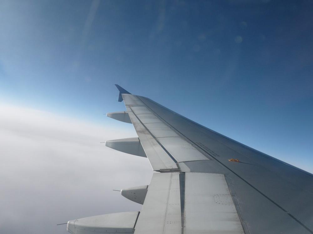 Flight Sky Wing Flight Sky Wing