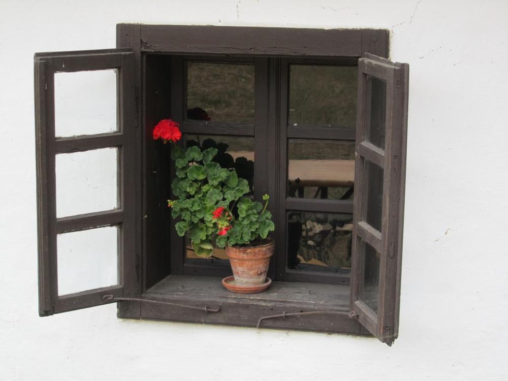 Floral Window Serenity Floral Window Serenity