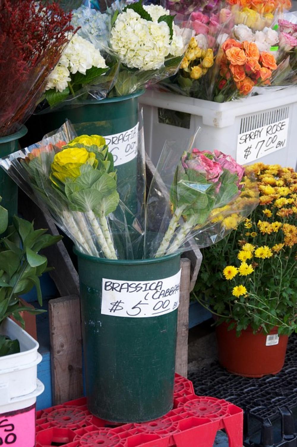 Florist Flowers Shop Store Florist Flowers Shop Store